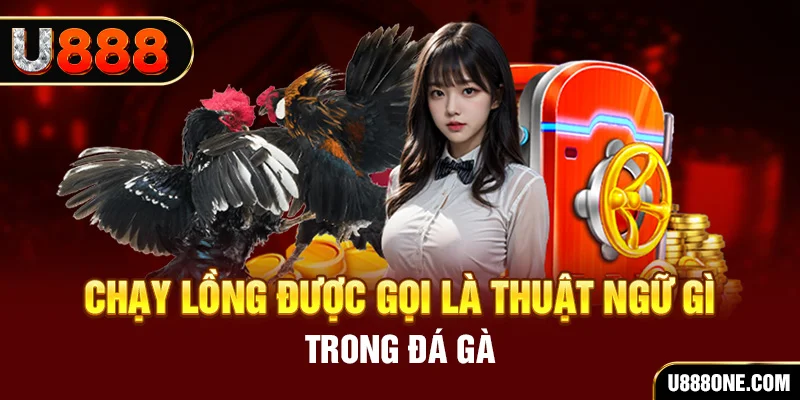 123 b tai game vua bai ve may tinh