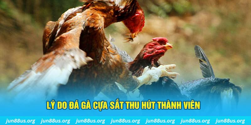 123 b chiếm slot là gì