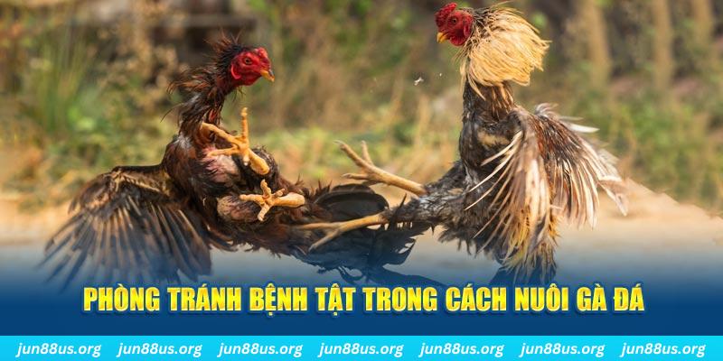123 b đăng nhập phỏm online