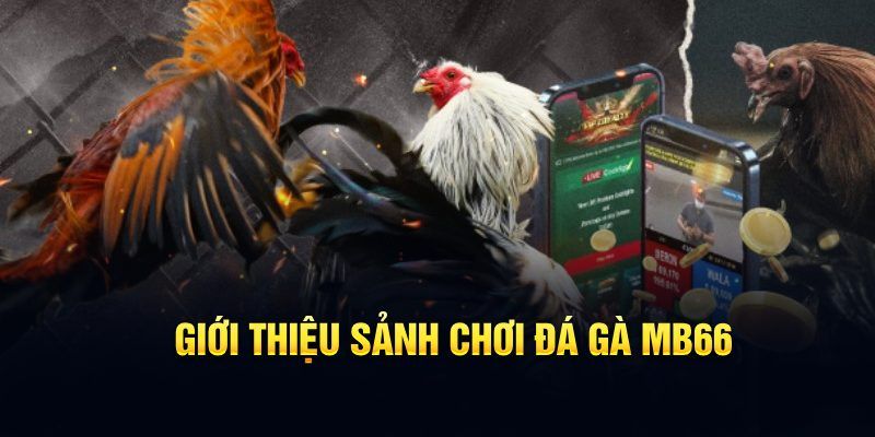 123 b đăng nhập poker hôm nay